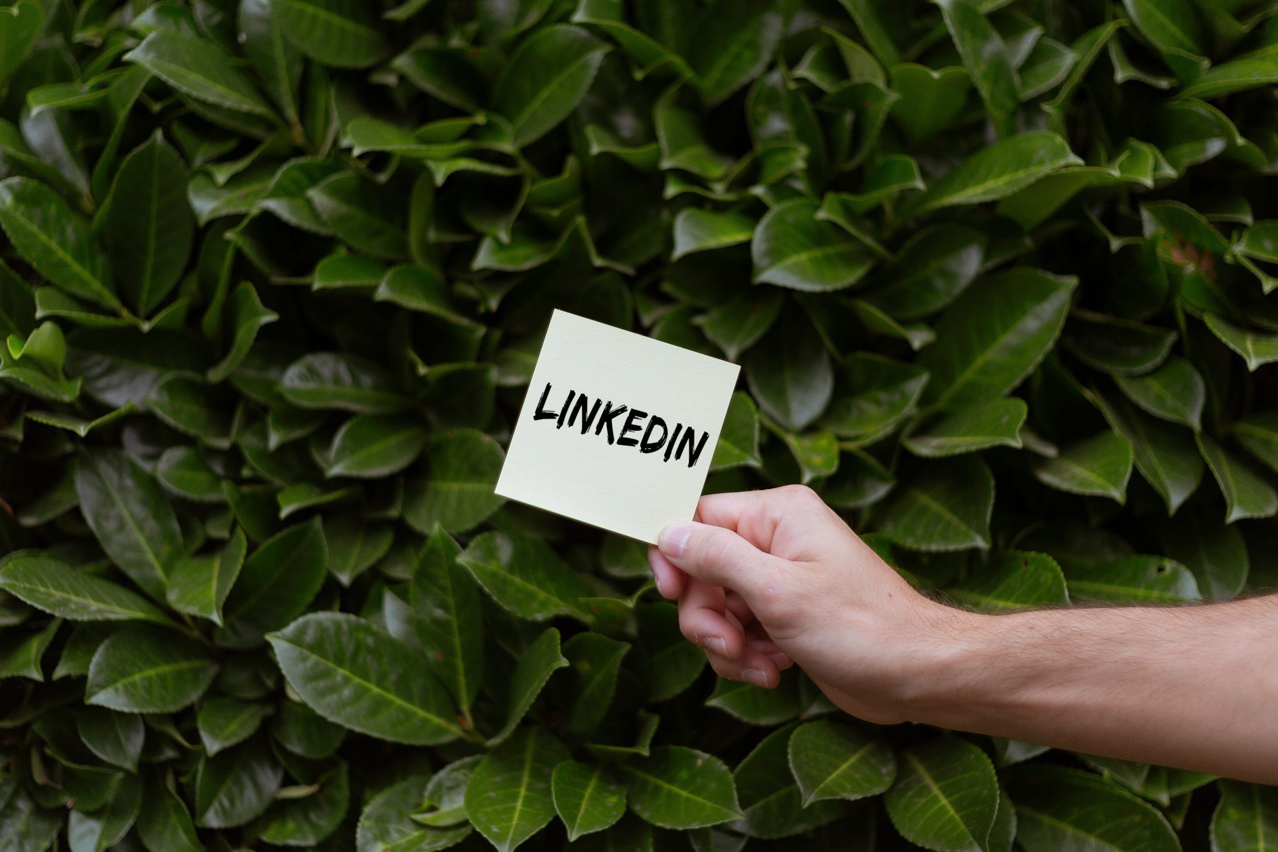 Meer leads genereren op LinkedIn